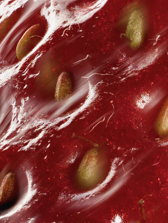 Sérum Anti-Âge aux Peptides | KLORYA